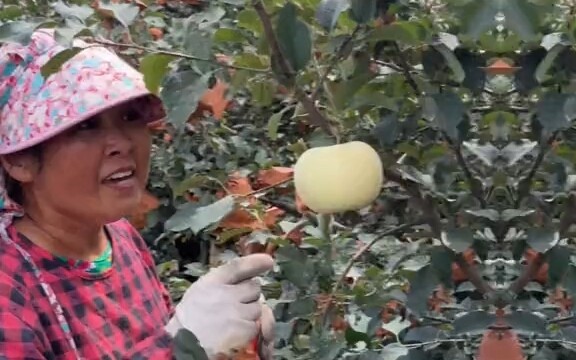 Membuat Li tua ketakutan