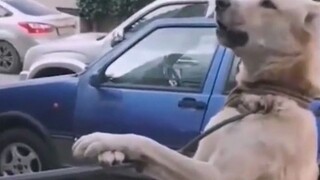 You immediately tried to choke me!