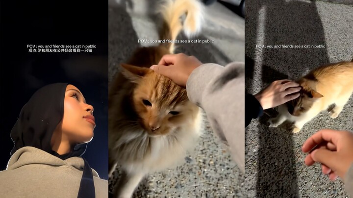 Friends who start meowing as soon as they see a cat outside… and me too!