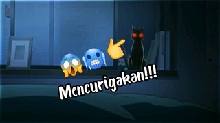 ketika kucing berubah jadi cewek aduhai😱😂//