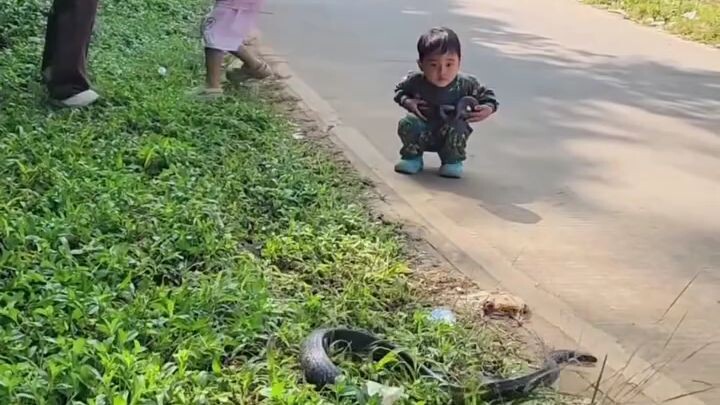 fun with snake