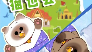 暹罗猫不语，只是一味黑化