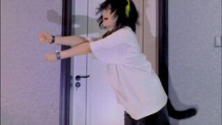 原来是猫猫啊，还以为是炼金术士