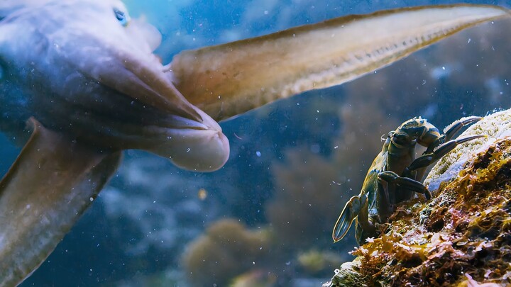 Pengalaman-pengalaman yang tak bisa membunuhku sebenarnya lebih baik kalau benar-benar menghabisiku!