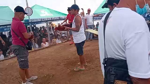 binabae vs pulang linaw  di tayo sinamahan ng swerte  loss
