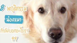 8 พฤติกรรมน้องหมา กำลังบอกอะไรเรานะ SudPad-Dog