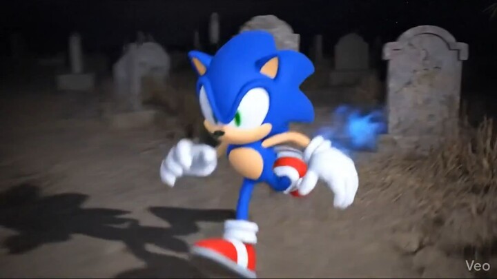 动作片：墓地里的黑猫大战索尼克 action The black cat in the cemetery vs sonic