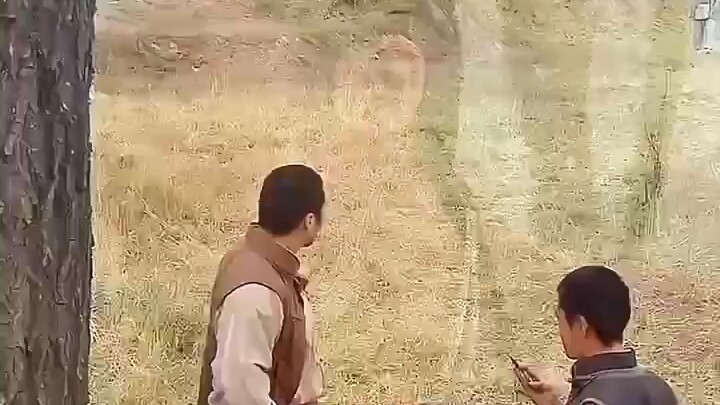 "Vì một đoạn trích mà xem hết cả bộ phim" – Clip điện ảnh, truyền hình