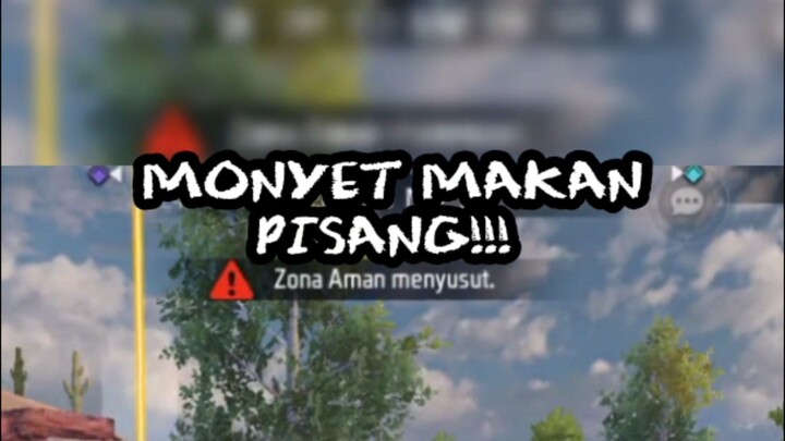 monyet makan pisang🗿
