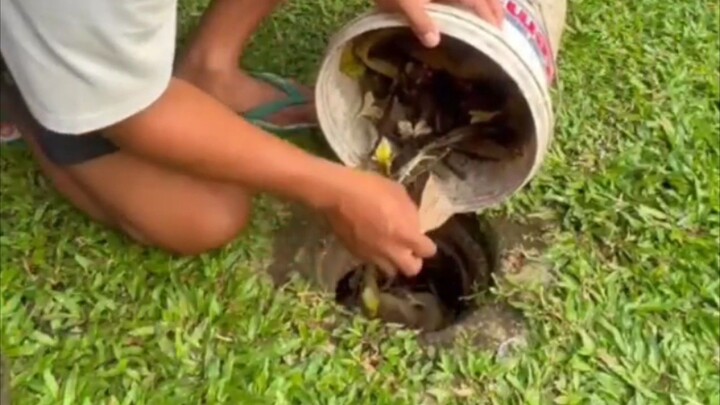 TPA Suwung tutup cuy