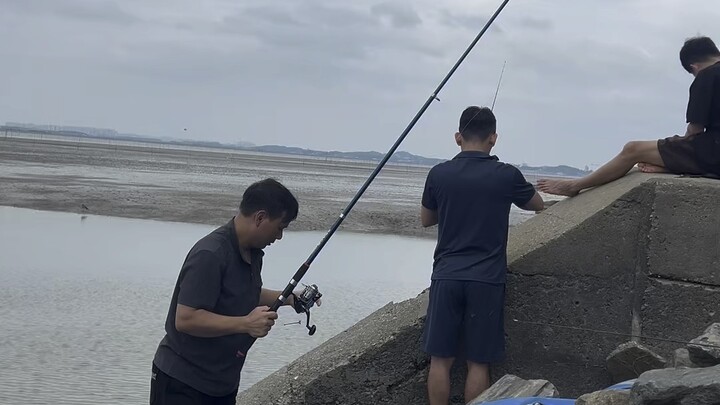 về chăn trâu nào