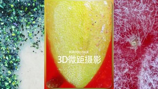 绝对猜不到是什么的「3D微距摄影」