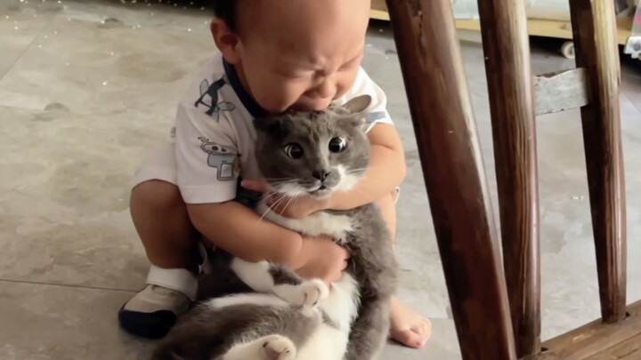 Kucing: Anak di rumahmu agak tidak sopan padaku!