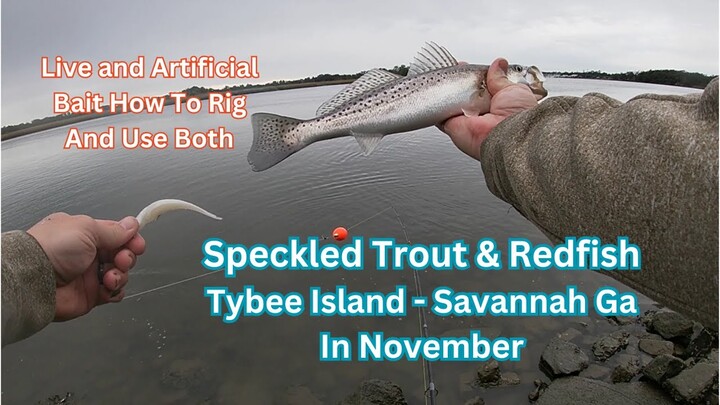 How To Catch Speckled Trout and Redfish | Best Baits | Speckled Sea Trout | Savannah Georgia