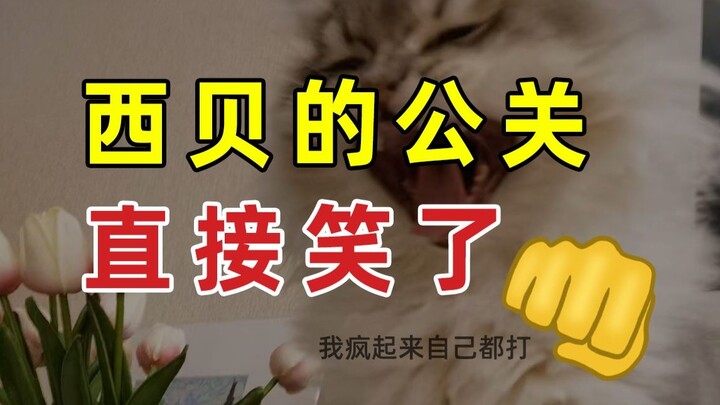 [Jump] Xibei’s PR is Already Laughing All the Way!