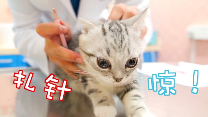 The doctor said to the kitten, "You'll understand some things when you grow up!" The kitten became m