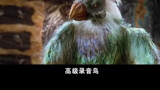 原始人到底有多疯狂，把石板当试卷，用锤子在上面凿答案 "电影解说