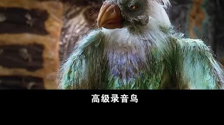 原始人到底有多疯狂，把石板当试卷，用锤子在上面凿答案 "电影解说