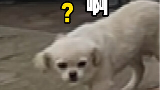 Sebuah kisah kecil yang menyedihkan