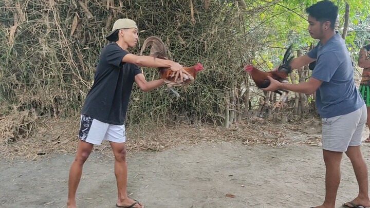 STREET FIGHT SERYE DRAW PULA SA AMIN 20,500 PARADA NANG KALABAN JAN. 25, 2026.