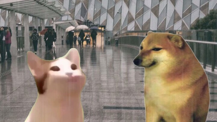 الشخص الذي يحب الضحك يبكي فجأة