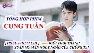 Top 8 Phim Của Nam Thần "Cung Tuấn", [Triệu Phiếm Chu] Của [Gửi Thời Thanh Xuân Mỹ Mãn Ngọt Ngào]