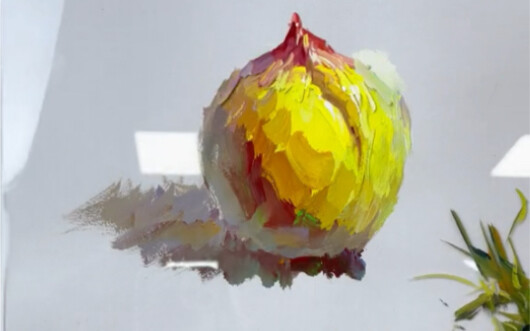 黄色球体演变过程