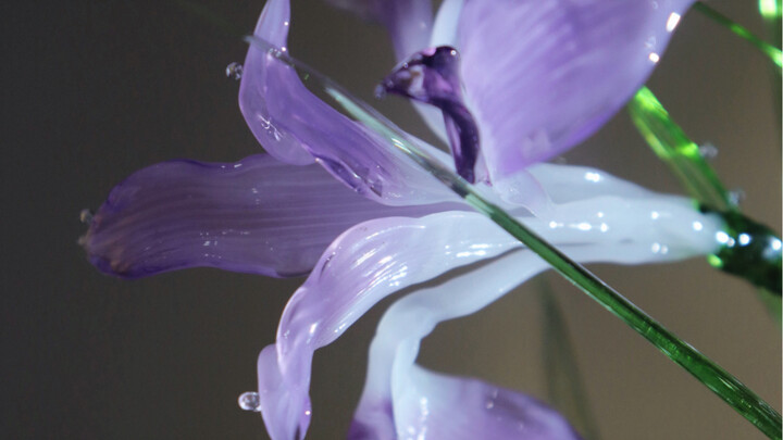 Turning Every City in China into a Floral Ordos