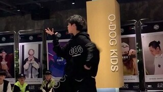 【O-DOG刘洋】我的入坑视频啊必须单独拉出来