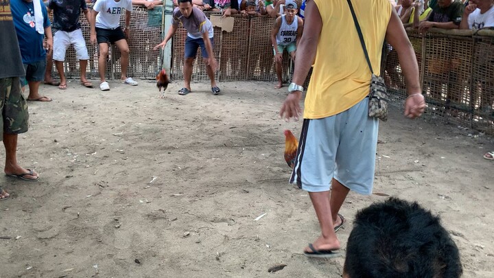 Salamat nilaban mo hanggang sa huli kaybigan🫡 # gull x sweater, #own breed.