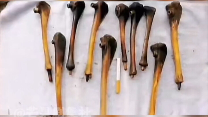 🩸 Thâm thù đại hải, đời đời không quên # Theo Mãng Xã tăng kiến thức # Tẩu thuốc bằng xương người