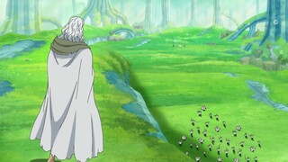 Rayleigh recalls memories while looking at Luffy leaving 2 years later - One Piece English