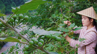 Kuzi (Bitter Berry), Special Ingredients for Various Dishes