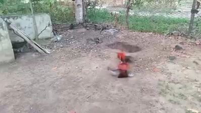 balik ko lang ang sparing ng mga alaga ko dati