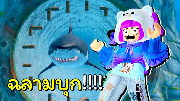 ล่องเรือหนีฉลาม 🦈🦈 | ROBLOX | SharkBite 2 🦈