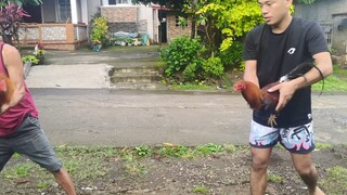 spar muna