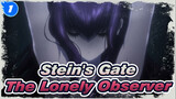 [Stein's Gate] The Lonely Observer_1