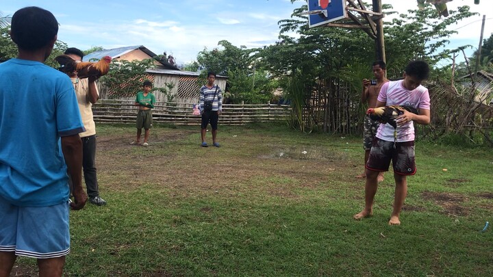 Win contra Talisayin VS Gold💪🏻