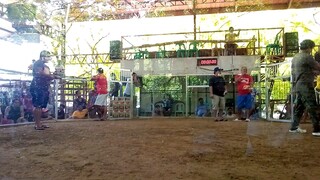 1st fight 2x winner sa isang araw #MWR Oslob Cockpit Arena