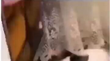 when a cat forgot she's a cat