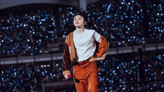 การวิเคราะห์เทคนิคการเต้นของอีจีฮุน (SEVENTEEN)