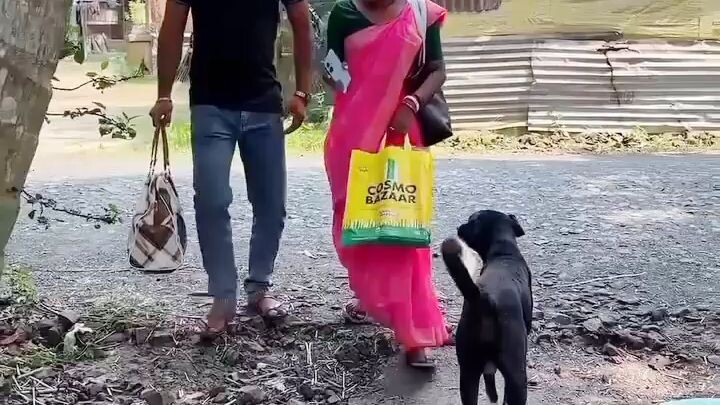 নতুন বিয়ের পরে বাপের বাড়িতে এসে অপমানিত হলাম