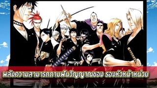 BLEACH - พลังความสามารถดาบฟันวิญญาณของ รองหัวหน้าหน่วย !!!