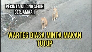 Kucing Oyen kakinya Pincang Menunggu Belas Kasihan Orang Lewat | Meminta Makan Di Tengah J4lan ..!