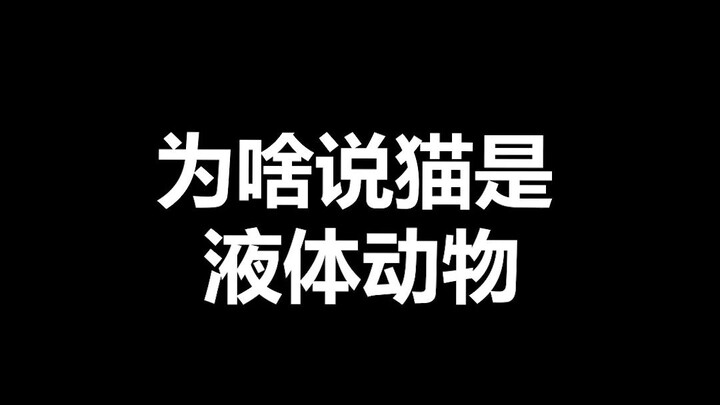 宠物冷知识：怎么把猫咪装进大号水瓶？听我的，倒进去就行了（doge）