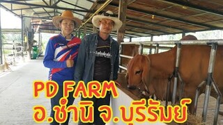 เยี่ยมชมPD brah ranch อ.ชำนิ จ.บุรีรัมย์  086-264-7478