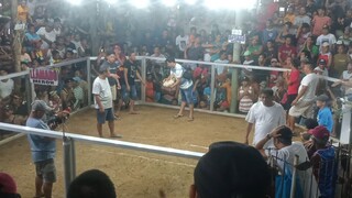 March 22, 2025 Hackfight🐓Win tayo