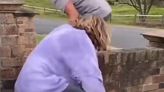 Perang Manusia vs Kucing