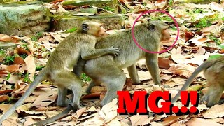 MG, Baby One Style, No More Example Style, Monkey Scare Hurting Like That