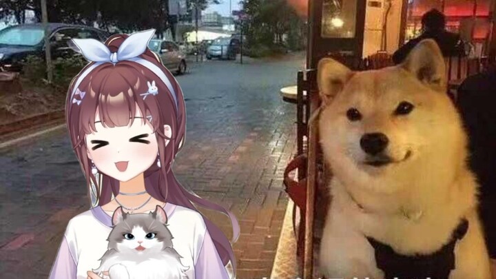 【Zisu September】Cover of a Hit Song: “Still No Partner This Year? You Were a Lonely Single Last Year